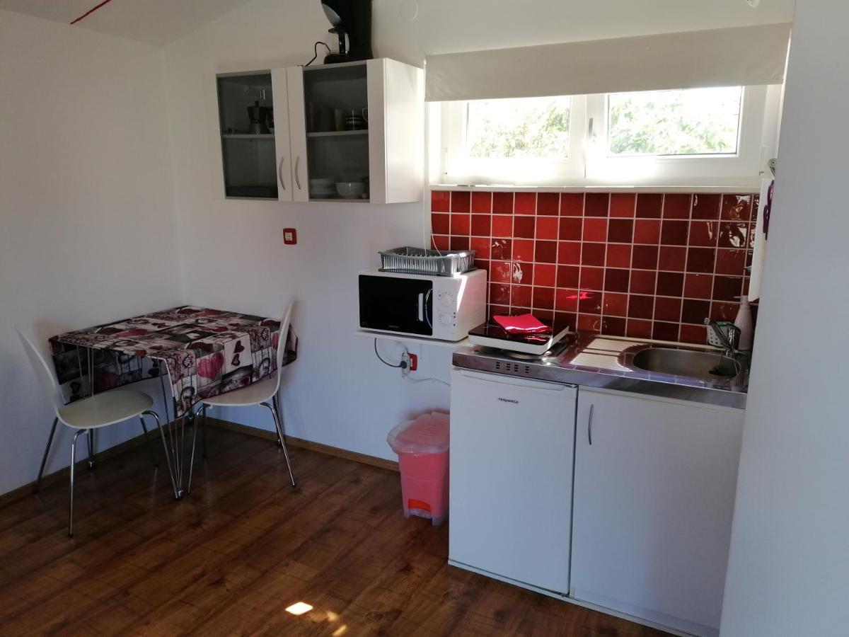 Nice Studio Near Centar+Free Parking ロヴィニ エクステリア 写真